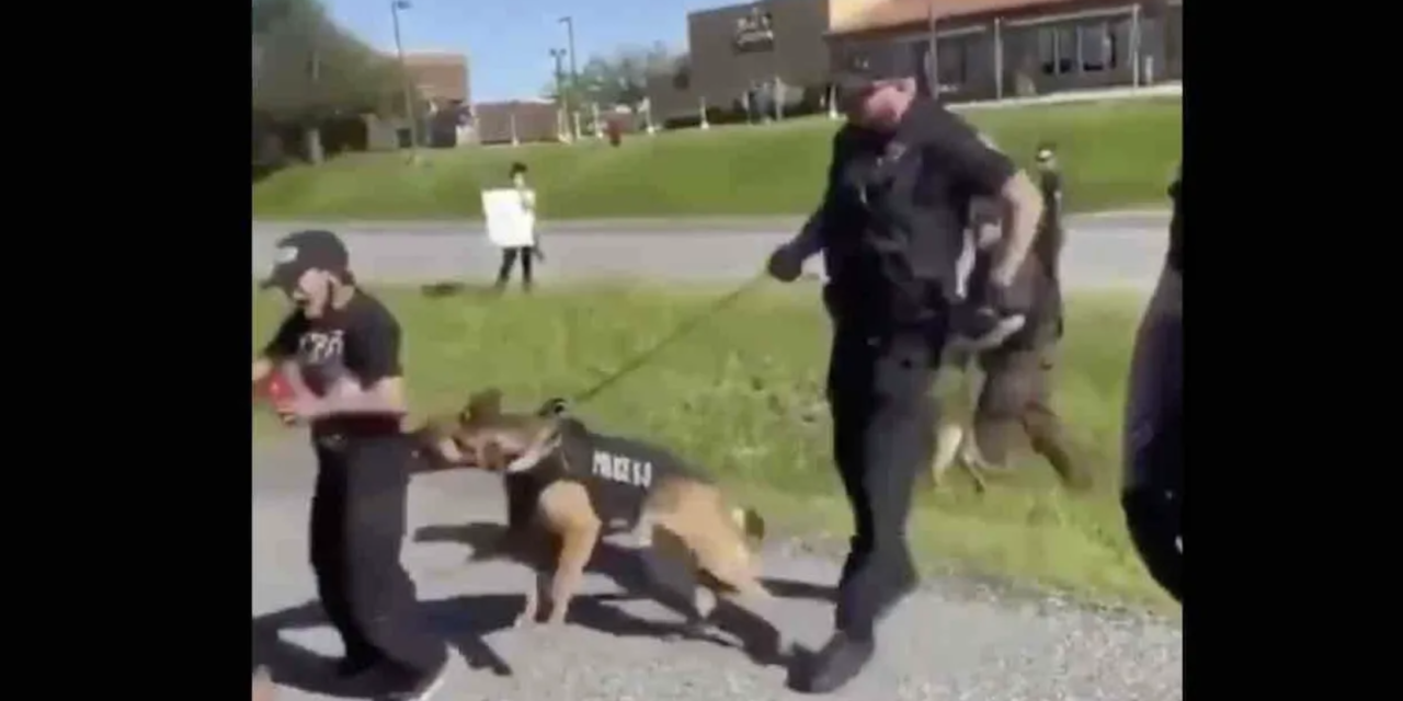 A Sneak Peek At The Protests – One Protester Gets a Little Too Close To A Police Dog