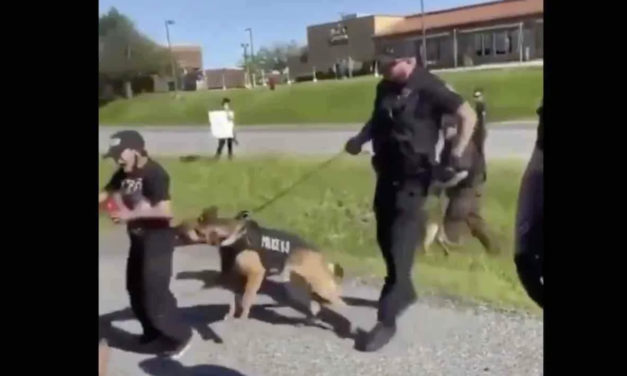 A Sneak Peek At The Protests – One Protester Gets a Little Too Close To A Police Dog