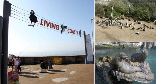 A Zoo Which Was Closed Due To The Pandemic May Have To Euthanize Animals If They Can’t Find New Homes For Them