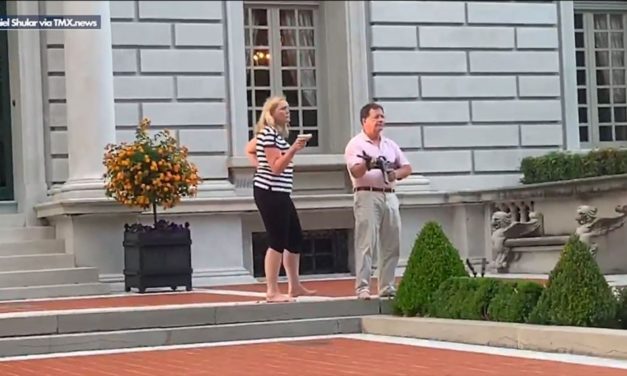Married Couple Pointing Guns To Protesters, Defending Their Home and Dog