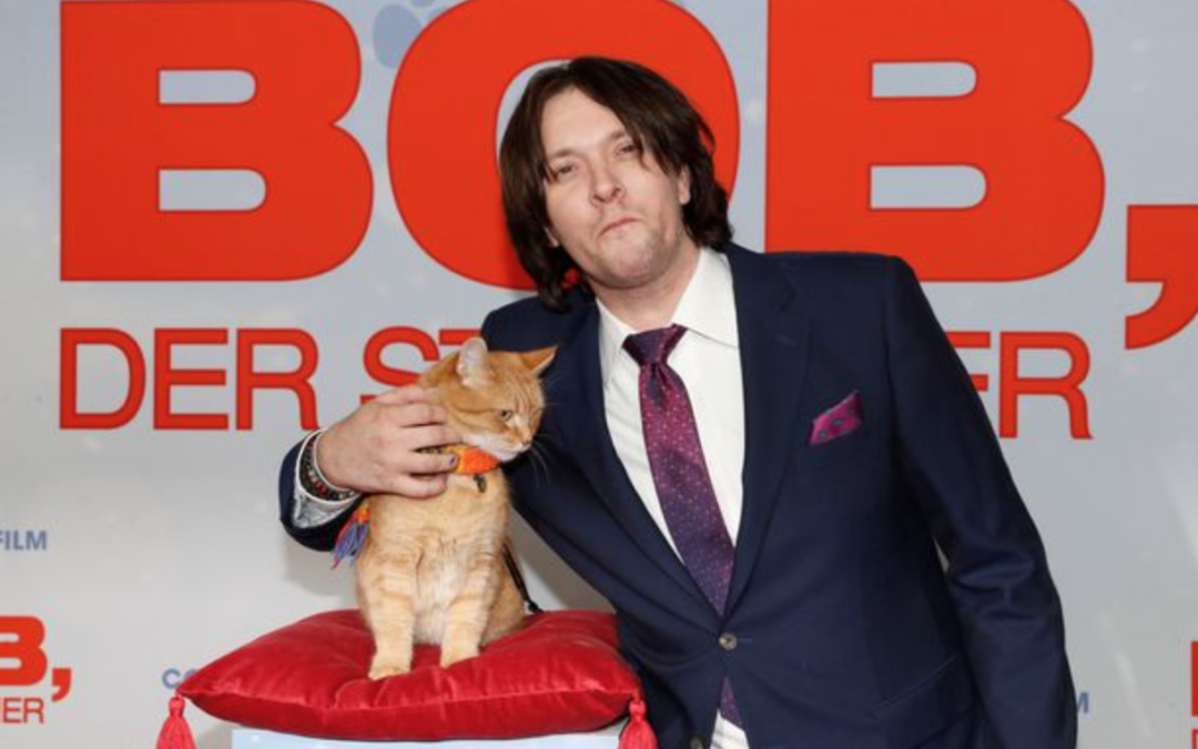 Bob The Cat Passed Away: The Beloved Famous Pet Dies At 14