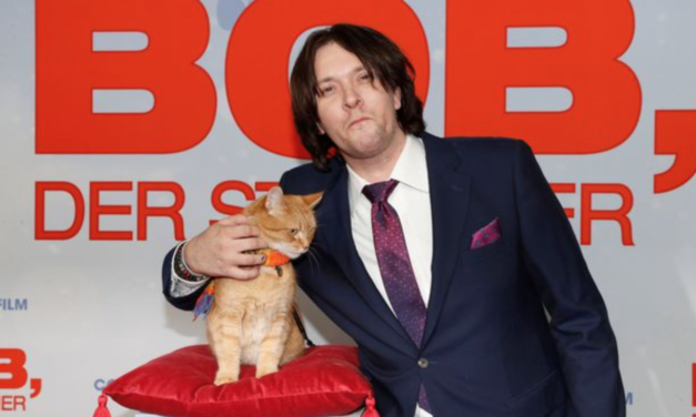 Bob The Cat Passed Away: The Beloved Famous Pet Dies At 14