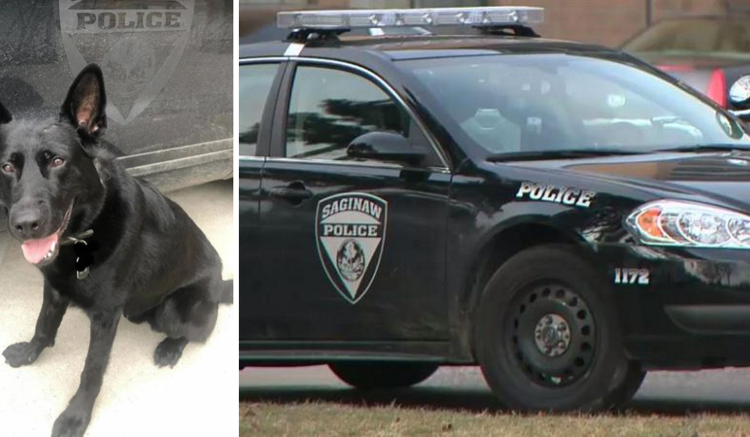 Police K9 Dogs Will No Longer Be Used To Arrest Suspects in Michigan