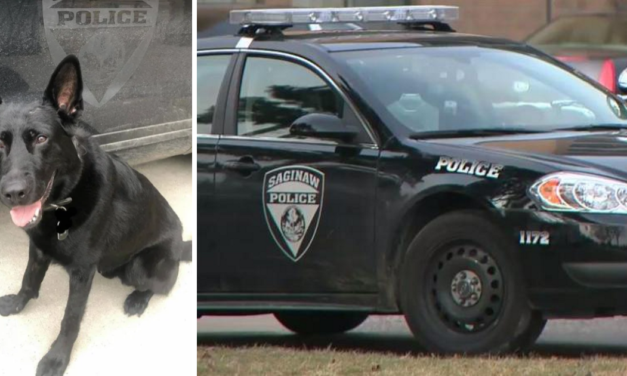 Police K9 Dogs Will No Longer Be Used To Arrest Suspects in Michigan