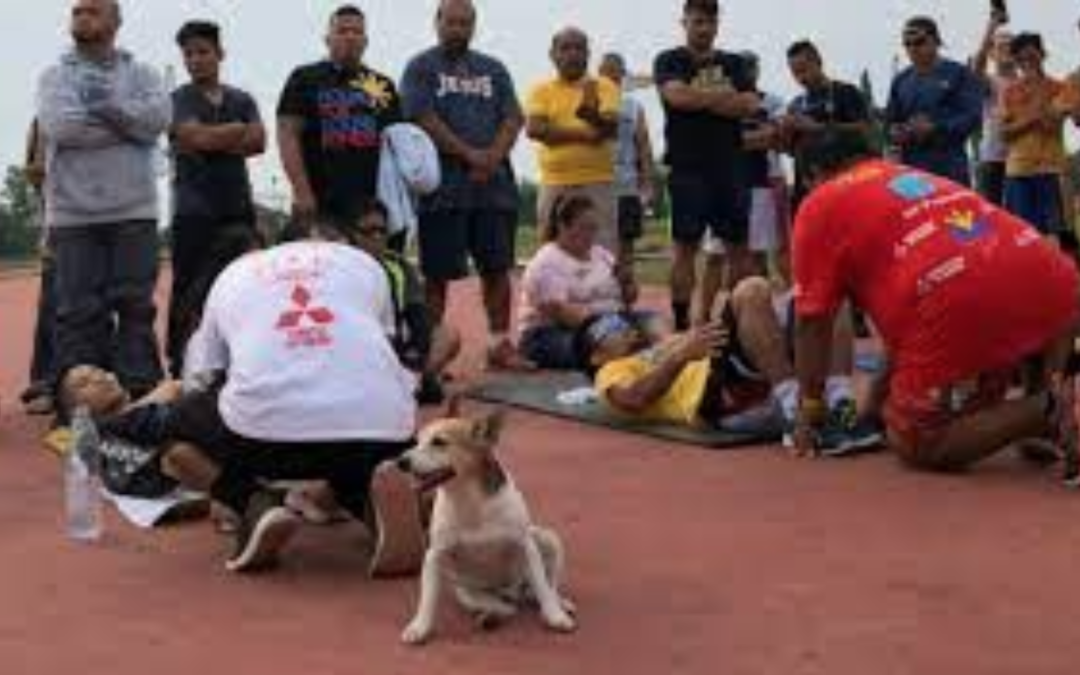 Pacman, Senator Pacquiao’s Loyal Dog and Training Partner Died After Being Accidentally Run Over By A Car