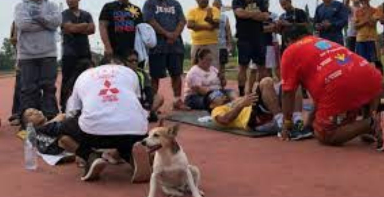 Pacman, Senator Pacquiao’s Loyal Dog and Training Partner Died After Being Accidentally Run Over By A Car