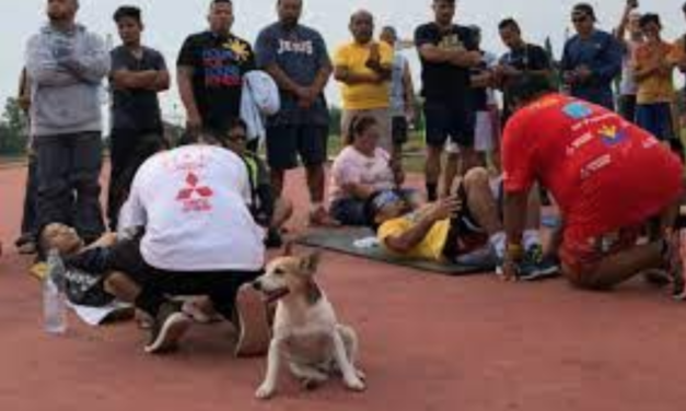 Pacman, Senator Pacquiao’s Loyal Dog and Training Partner Died After Being Accidentally Run Over By A Car