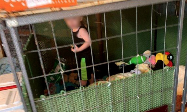 Toddler Found in Tiny Dog Cage  Surrounded by 600 Animals Including Snakes And Rodents
