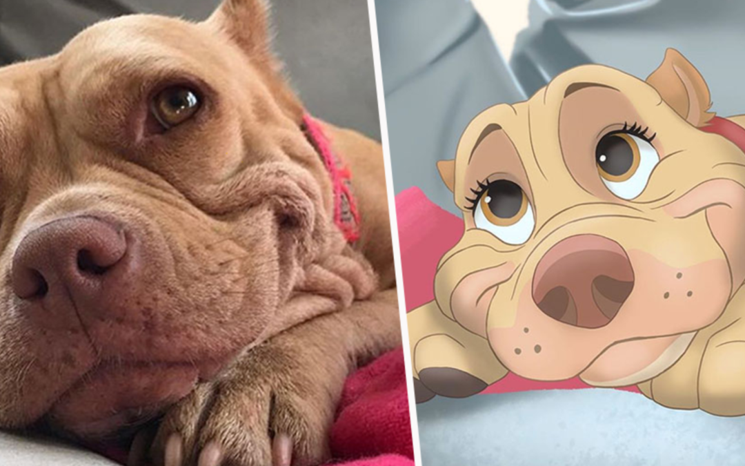 This Artist Disneyfies People’s Pet Photos And It’s Amazing