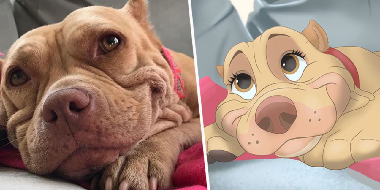 This Artist Disneyfies People’s Pet Photos And It’s Amazing