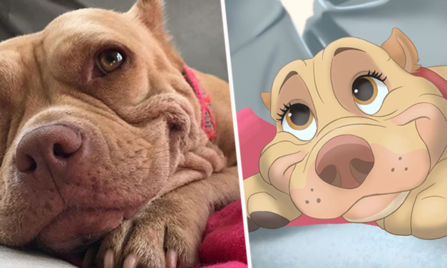 This Artist Disneyfies People’s Pet Photos And It’s Amazing