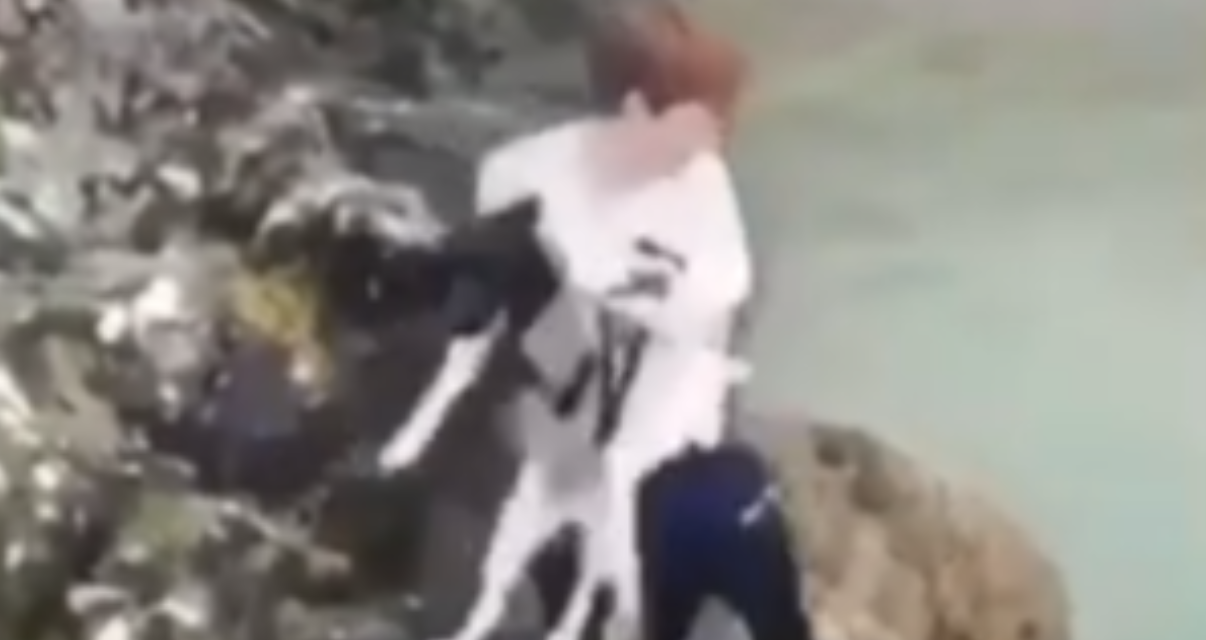 Abusive Thugs Throw Terrified Puppy From The Edge Of A Cliff