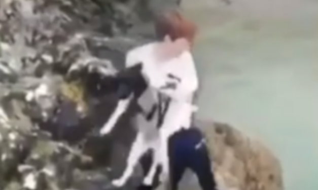 Abusive Thugs Throw Terrified Puppy From The Edge Of A Cliff