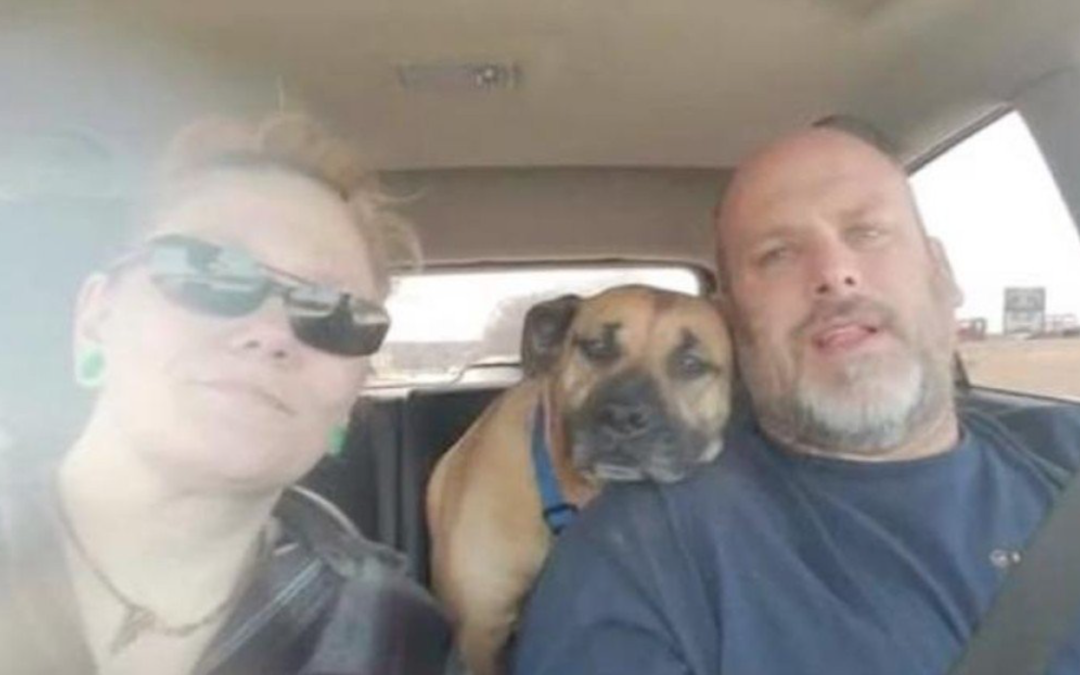A Couple Left The Car Door Open And A Stray Dog Sneaked In And Got Adopted