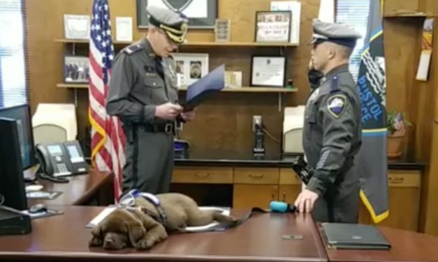 K-9 Puppy Falls Asleep During His Entire Swearing-In Ceremony