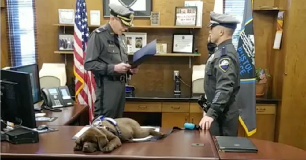 K-9 Puppy Falls Asleep During His Entire Swearing-In Ceremony