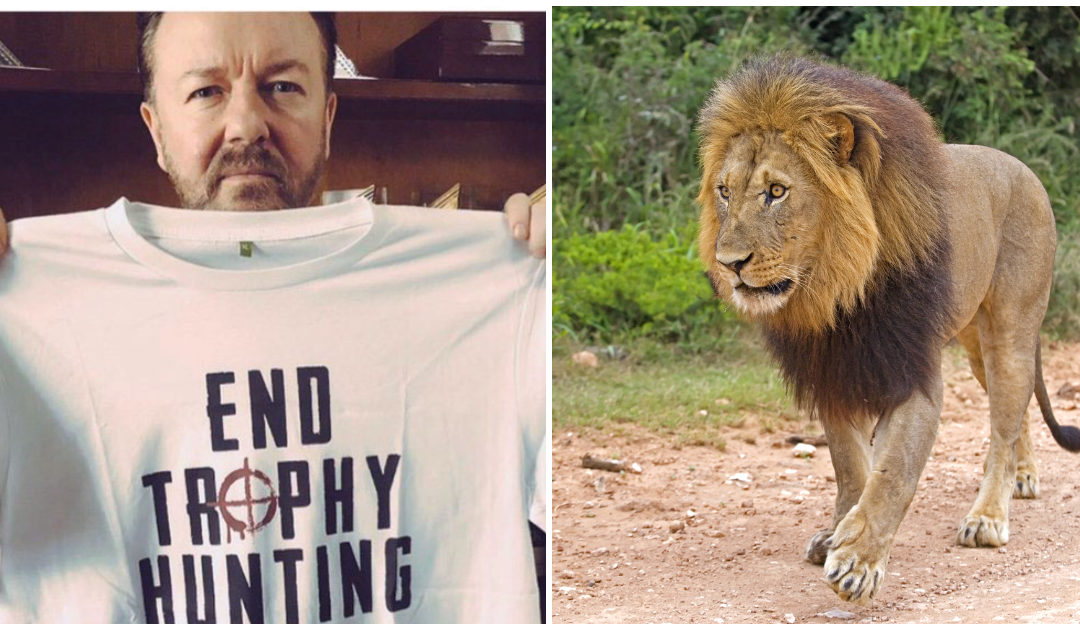 Ricky Gervais Is Determined To Put An End To Trophy Hunting, Saying It’s ‘Humanity At Its Very Worst’