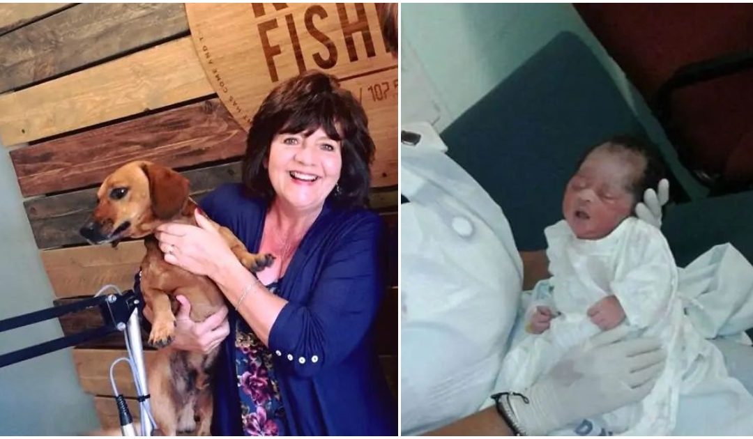 Dog Barks Uncontrollably, Leading Owner To Rescue Abandoned Baby In Storm Drain