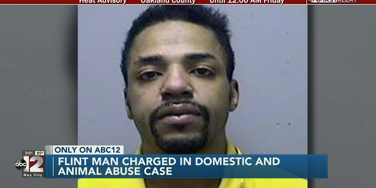 Flint Man Charged In Domestic And Animal Abuse After Beating Up Girlfriend And Throwing Beagle Under Car