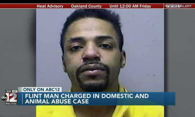 Flint Man Charged In Domestic And Animal Abuse After Beating Up Girlfriend And Throwing Beagle Under Car