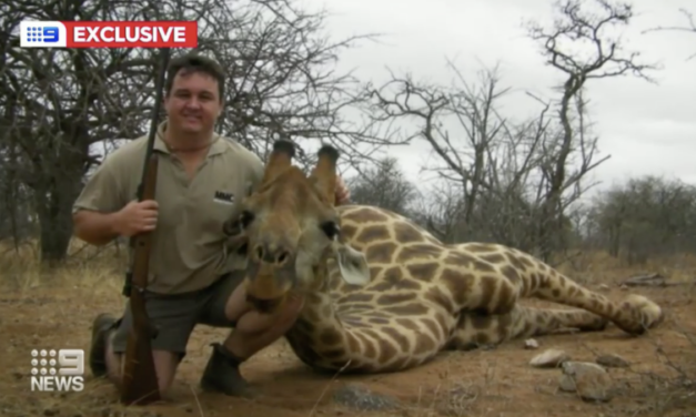 Man Who Poses With Dead Big Game Animals Appointed To A Top Position