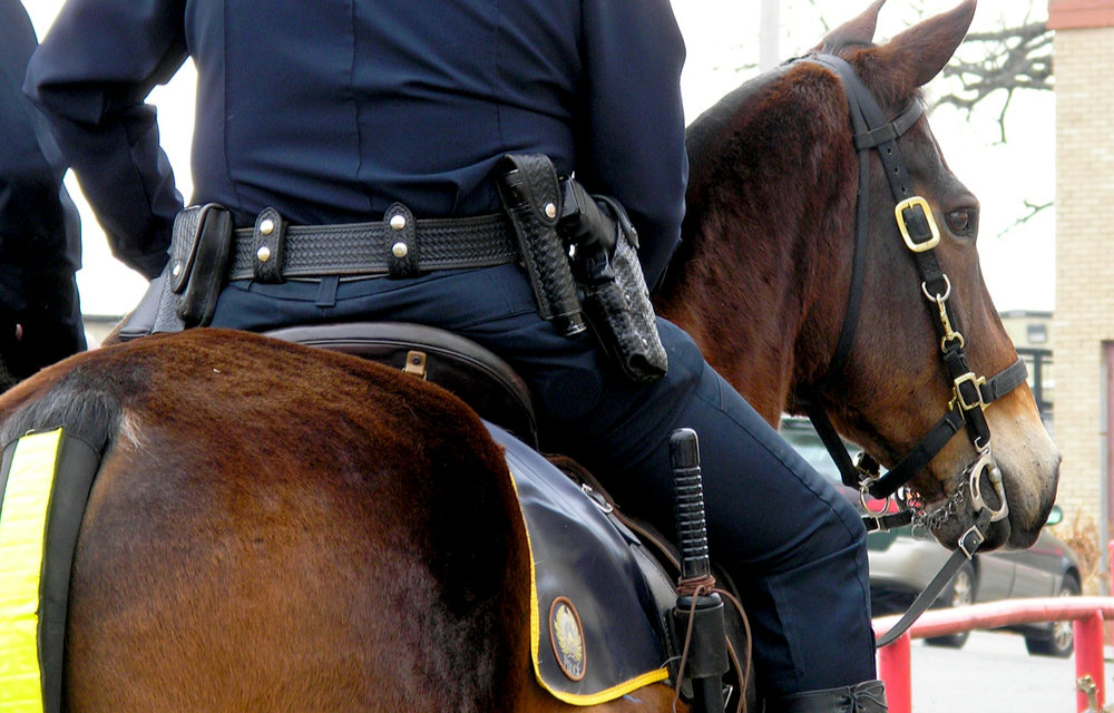 VIDEO: A Protester Sneaks Up On Police Officer And His Horse Kicks And Sends Her Sailing For Animal Cruelty