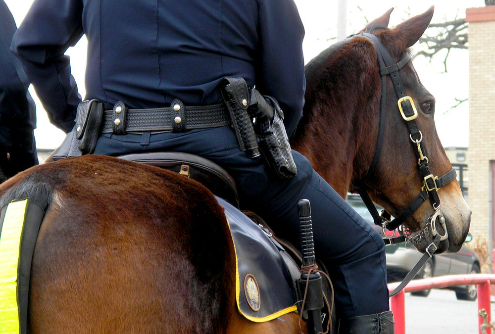 VIDEO: A Protester Sneaks Up On Police Officer And His Horse Kicks And Sends Her Sailing For Animal Cruelty