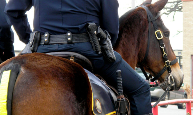 VIDEO: A Protester Sneaks Up On Police Officer And His Horse Kicks And Sends Her Sailing For Animal Cruelty