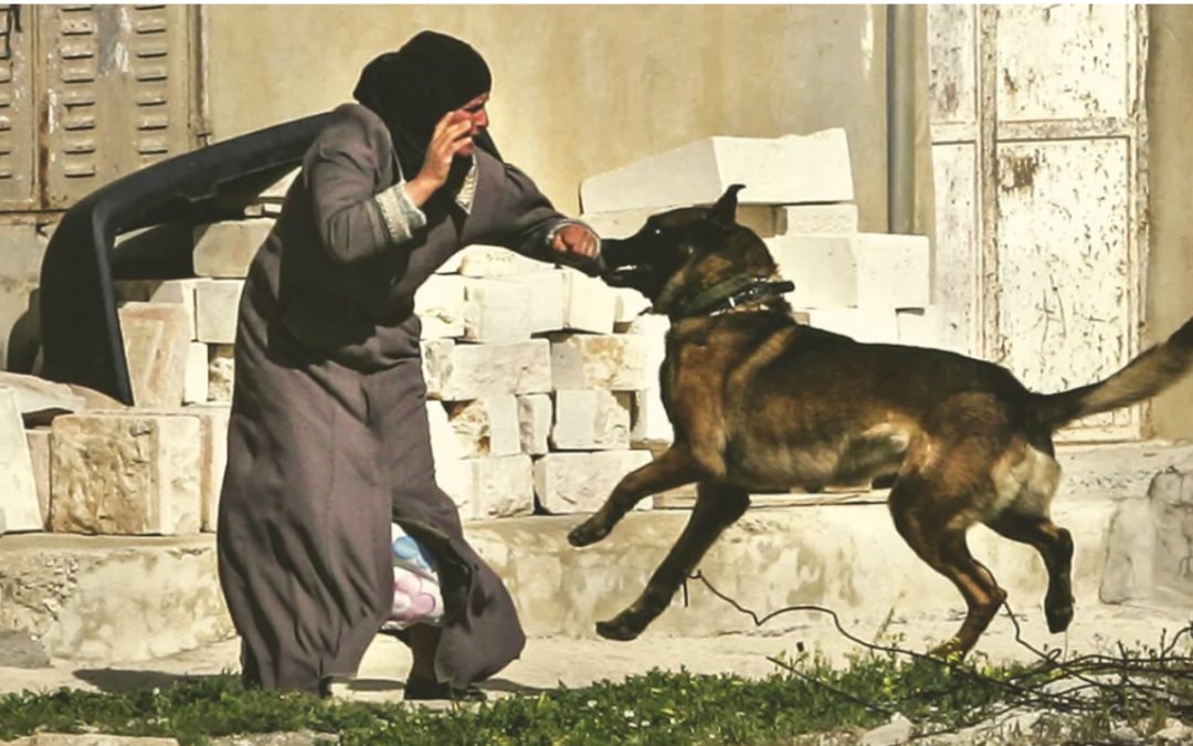 Dog Shows Ultimate Sacrifice And Saves Hundreds By Attacking Suicide Bomber At Wedding