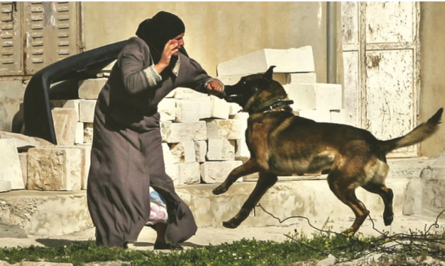 Dog Shows Ultimate Sacrifice And Saves Hundreds By Attacking Suicide Bomber At Wedding