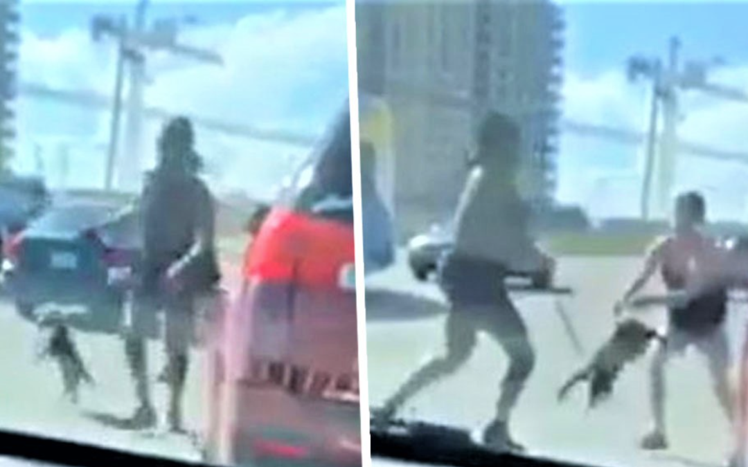 Woman Uses Poor Pup On Leash As Weapon To Fight In Road Rage Video