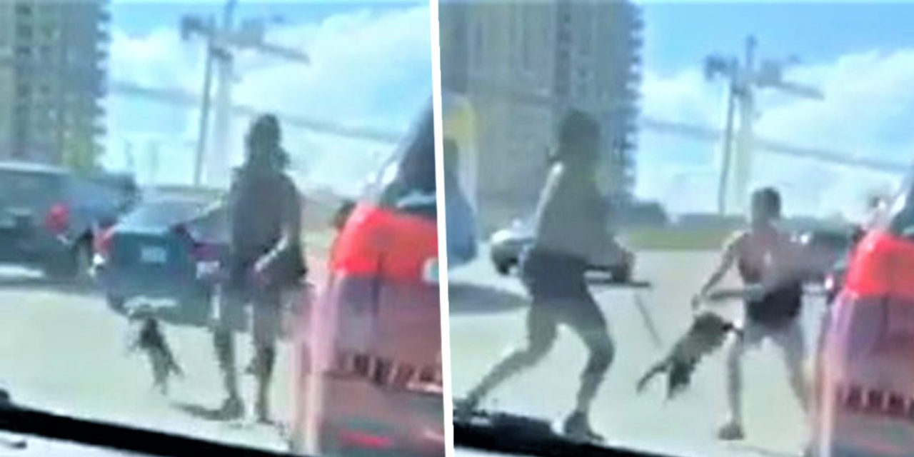 Woman Uses Poor Pup On Leash As Weapon To Fight In Road Rage Video