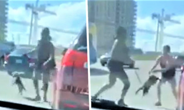 Woman Uses Poor Pup On Leash As Weapon To Fight In Road Rage Video