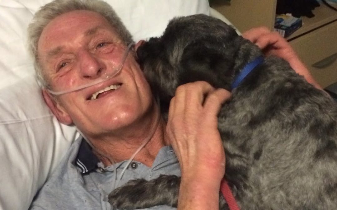 Loyal Dog Honored For Miracle – Brings Owner Out Of Coma Early