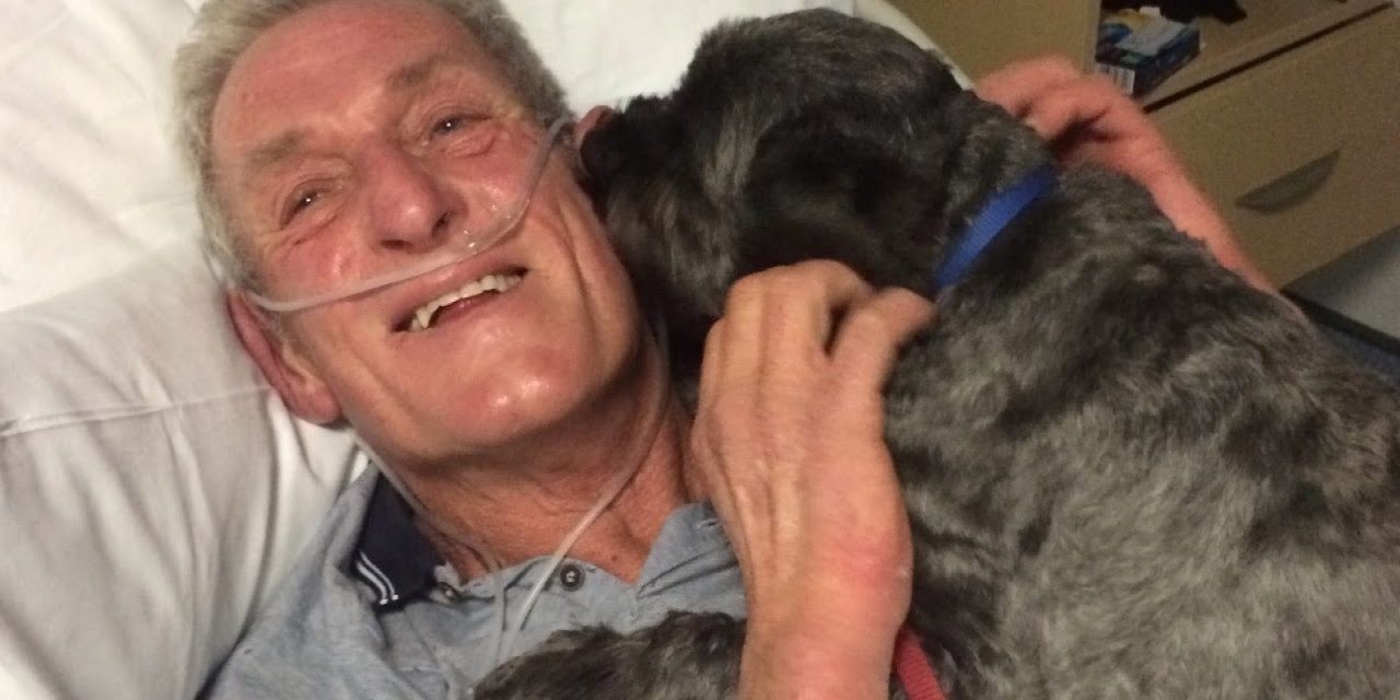 Loyal Dog Honored For Miracle – Brings Owner Out Of Coma Early