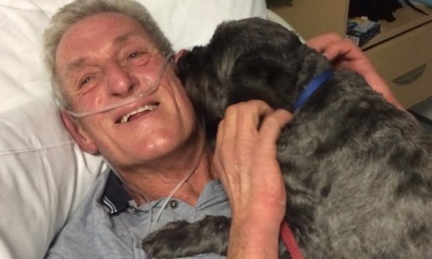 Loyal Dog Honored For Miracle – Brings Owner Out Of Coma Early