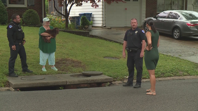 Officers Rescue A Blind And Deaf Dog From Sewer