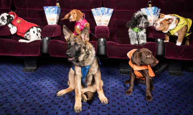 Scammers Ran Fake Ads For Selling Puppies and Stole Thousands Dollars From New Yorkers
