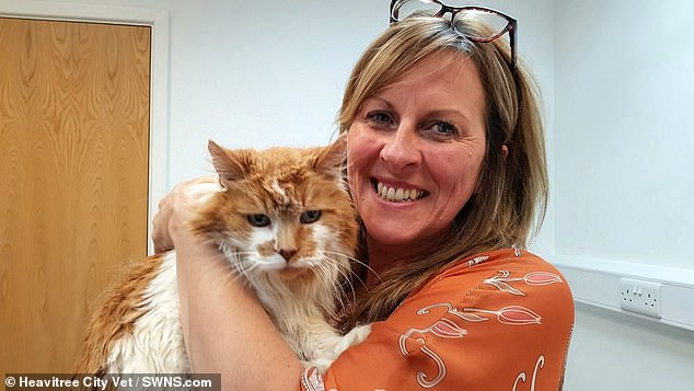 World’s Oldest Cat Dies At The Age Of 31, His Owner Is Heartbroken
