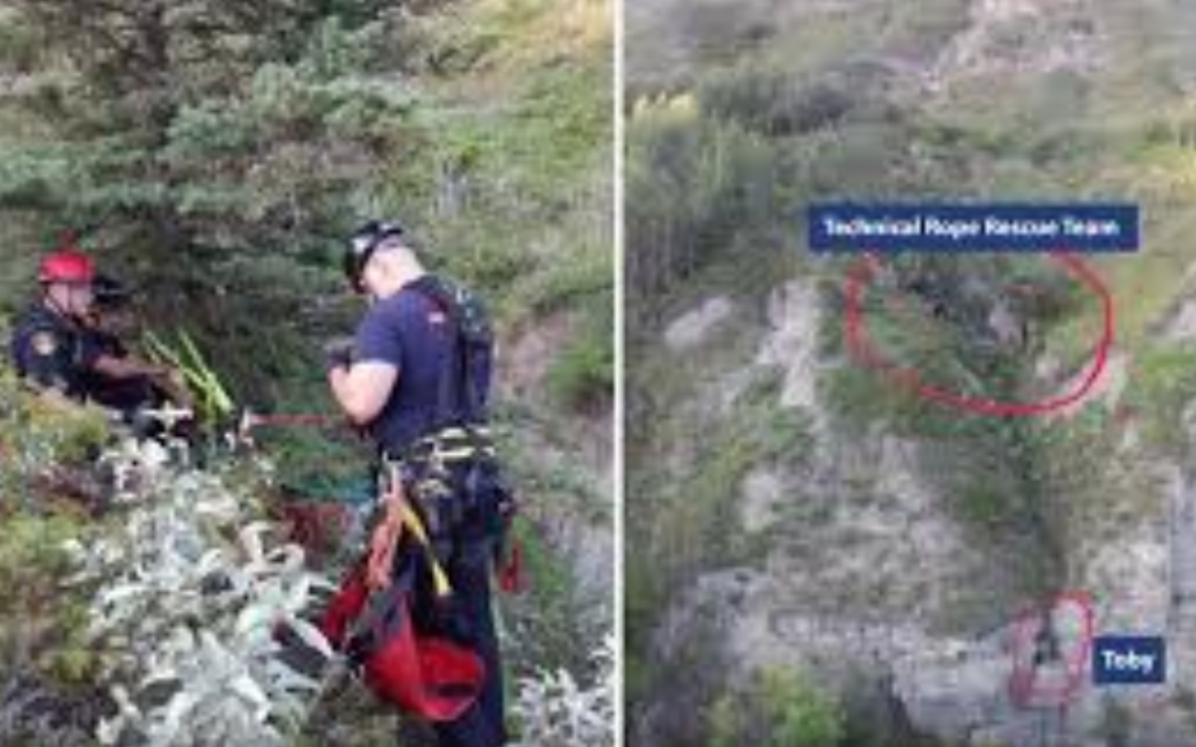 Firefighters Perform Amazing Rescue Of Dog Stuck On The Edge Of a Cliff
