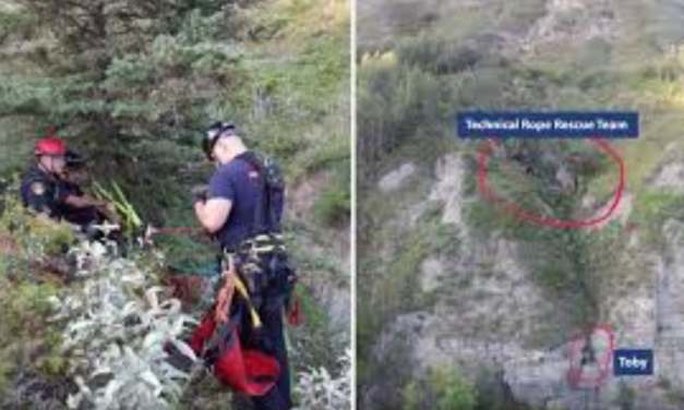 Firefighters Perform Amazing Rescue Of Dog Stuck On The Edge Of a Cliff