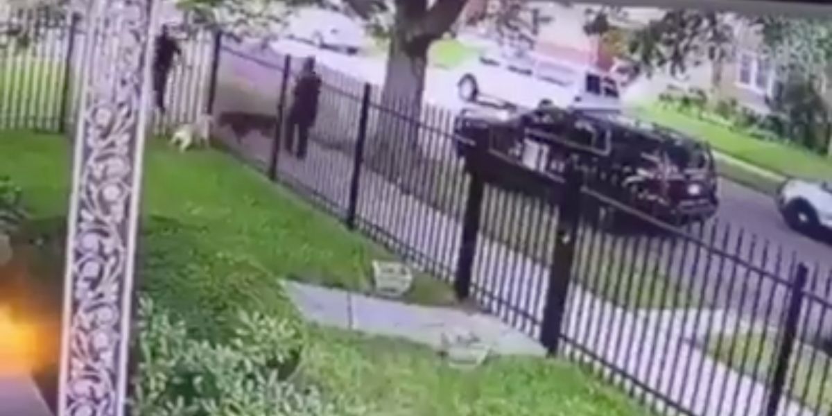 Detroit Police Defends Officer Who Fatally Shot A Dog In Its Own Garden