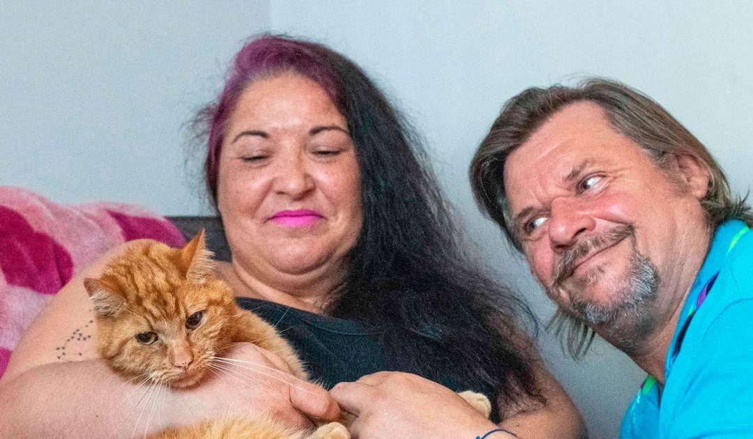 Cat travels 40 miles over seven weeks to find former owners after he’s rehomed