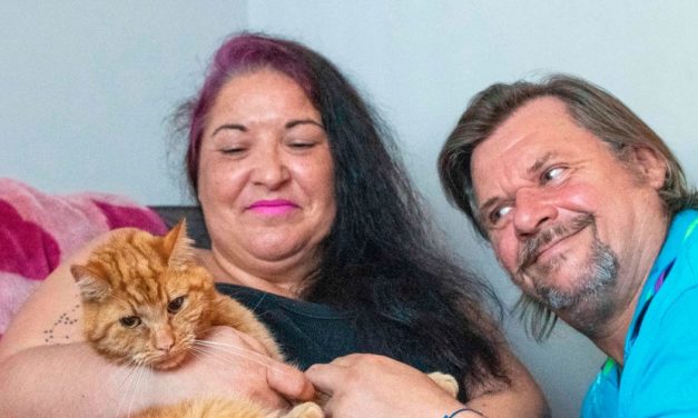Cat travels 40 miles over seven weeks to find former owners after he’s rehomed