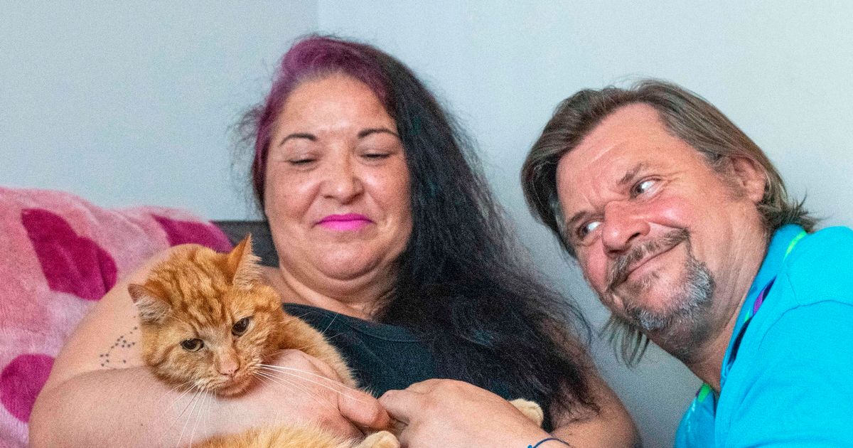 Cat travels 40 miles over seven weeks to find former owners after he’s rehomed