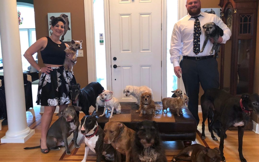 A Couple Turned Their Home Into A Haven For Their 21 Dogs
