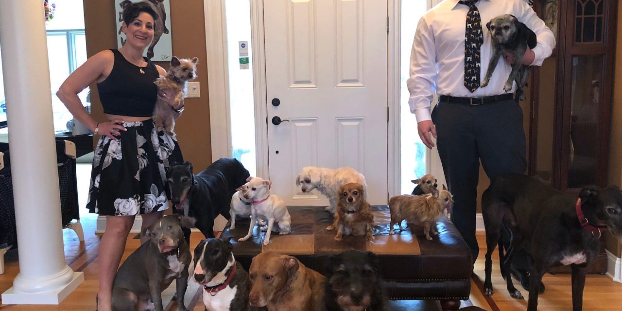 A Couple Turned Their Home Into A Haven For Their 21 Dogs