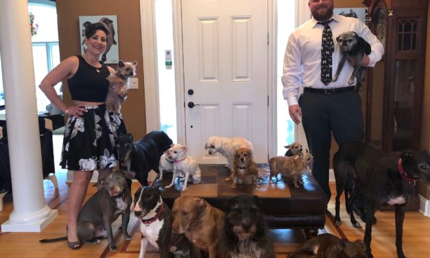 A Couple Turned Their Home Into A Haven For Their 21 Dogs