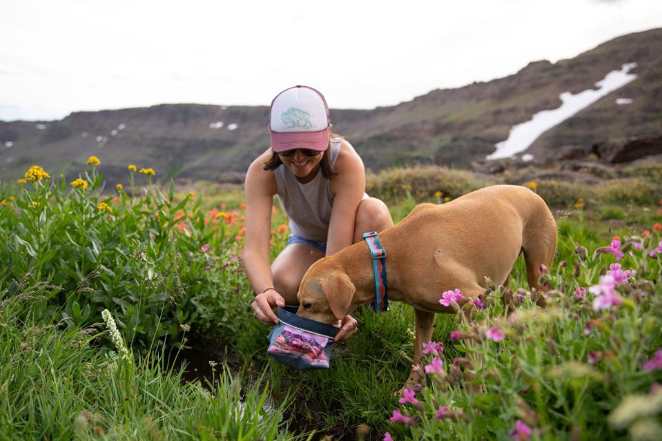 Wanna Go Hiking With Your Dog? Here’s What Gear You’ll Need