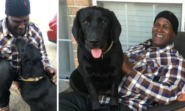 Innocent man is exonerated after nearly 40 years and brings home the dog he raised in prison